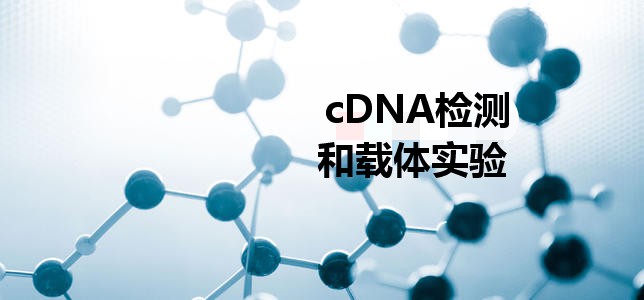 cDNA�z�y(c��)���d�w��(sh��)�(y��n)